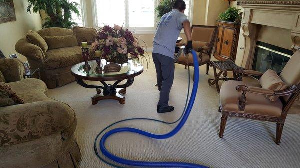 Carpet Cleaning