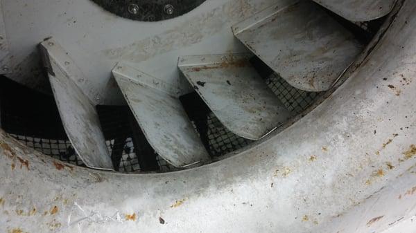 Exhaust Fan After We Cleaned