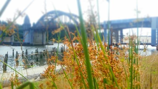 Siuslaw River Bridge Interpretive Center