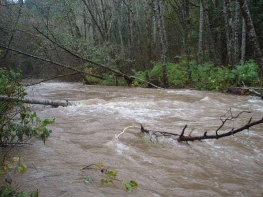 University of Washington Big Beef Creek Fish Station