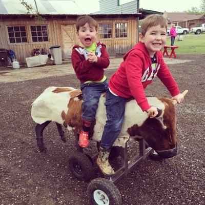 My boys have never had so much fun! Thanks Rodeo Zone!