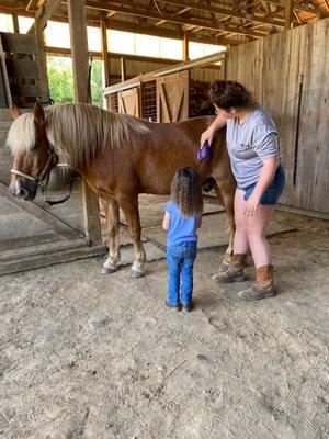 Learning how to brush Finn.