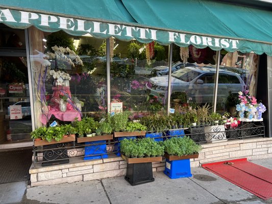 Cappelletti Florist