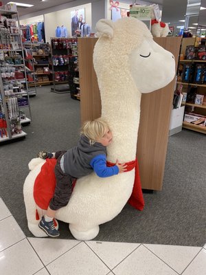 Giant Llama