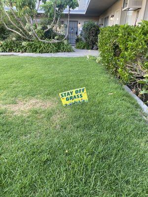 Stay Off Grass signs so no one comes out to walk or to relax after a long day of work. She's keeping neighbors from socializing!