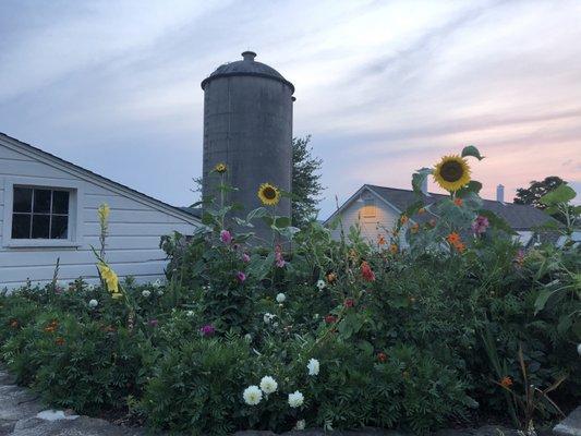 Candlelight Farms - sunset and silo