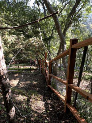 redwood fence