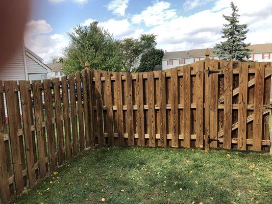 Transformed 25 year old wooden fence.