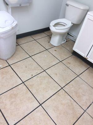 Yes that is human feces all over the floor!