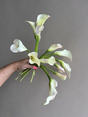 Bridal bouquet ingredients -- locally grown calla lilies