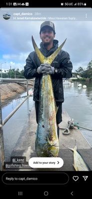 40lb Mahi