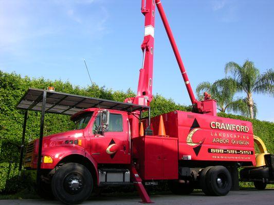 Arbor Care | Crawford Landscaping | Naples and Fort Myers, FL