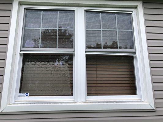 Mold in between window panes