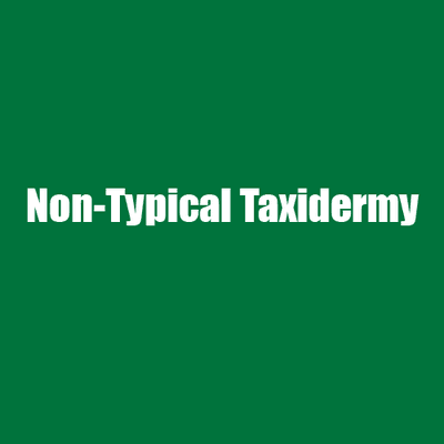 Non-Typical Taxidermy