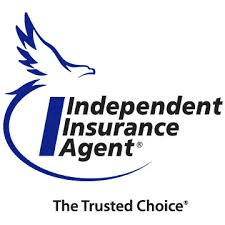 Insurance Agent