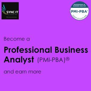 Professional Business Analyst (PMI-PBA) Certification Training