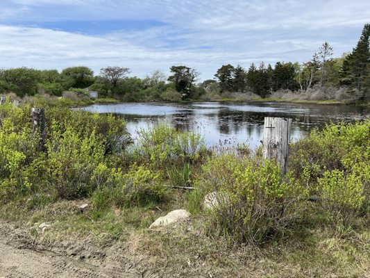 An inland pond