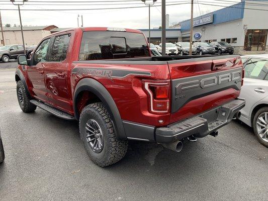 Rear end and bed with graphics package on a 19 F150 Raptor truck