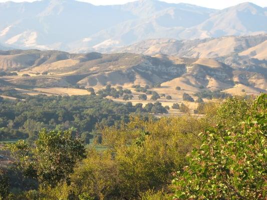 Santa Ynez Valley