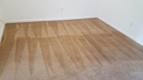 Carpet Cleaning Coral Gables