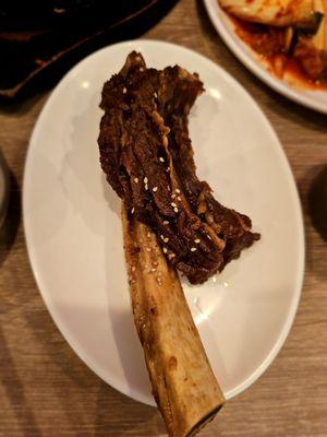 look at the size of this rib