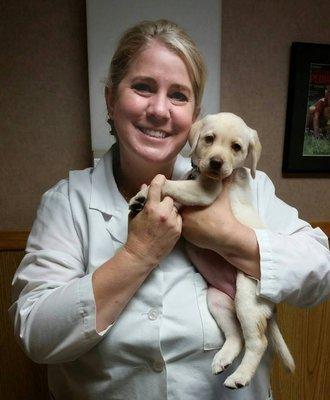 Here is Dr. Bollinger with one of our clients puppies. We love it when a new puppy visits us!