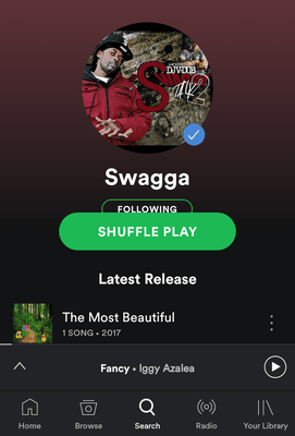 Swagga on Spotify