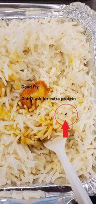 Dead fly in rice.