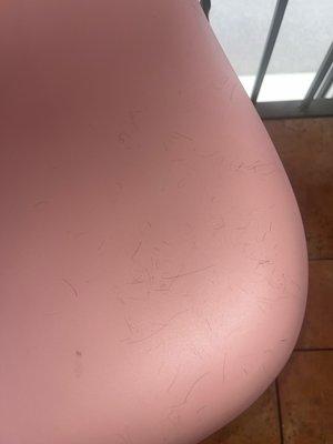 Someone's hair, my daughter sat on and started itching