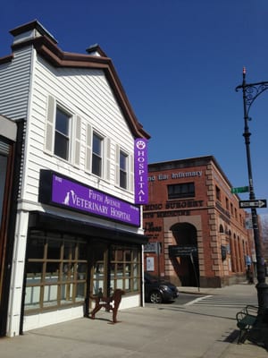 Fifth Avenue Veterinary Hospital