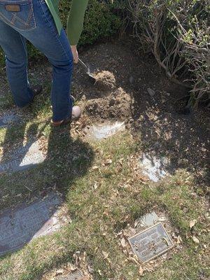 Me removing soil from covered cremain plots.