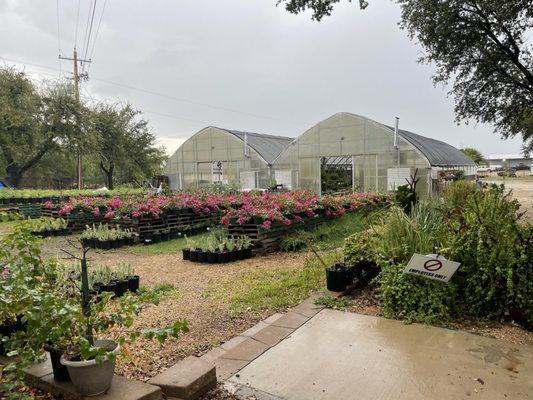 Production Greenhouse