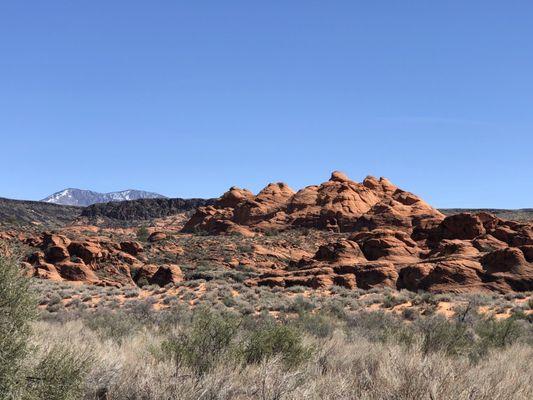 Scenic views from the bike path