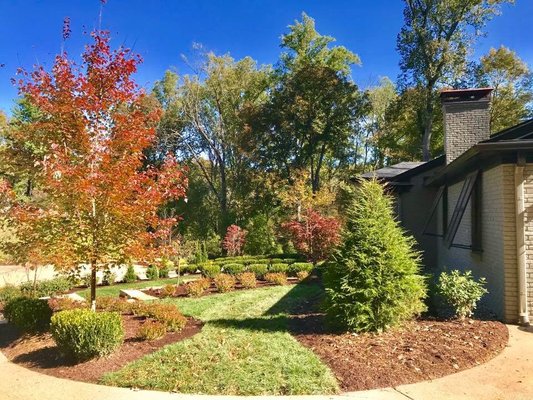 Front yard landscaping