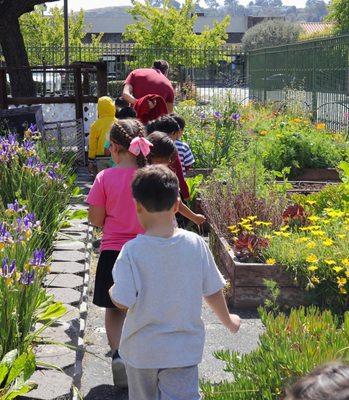 Exploring our garden! Seeing what fruits & veggies we can pick!