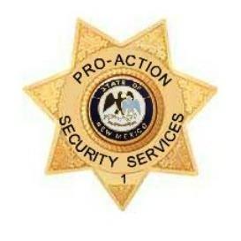 Pro-Action Security Services