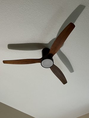 Ceiling fan