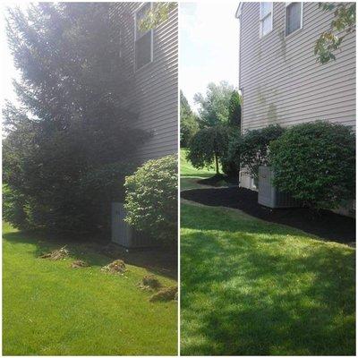 Before and after clean up and mulch