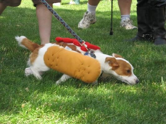 Pride of Pets Dog Show, 2007