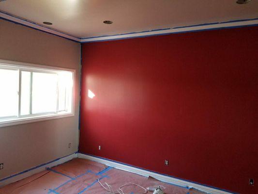 Paint Removal / Painting / Plaster & Drywall Services