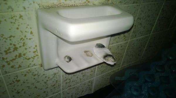 improper cleaning. a note was left to throw the soap away & clean the mold. The soap was thrown, but the mold was left.