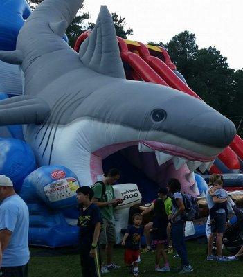 33' Tall Shark Attack Slide!