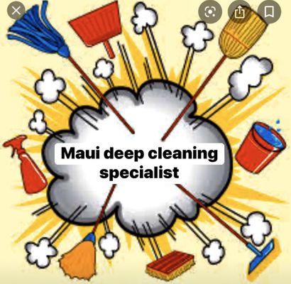 Get your clean done for the holidays!!!