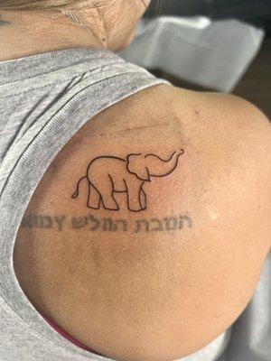 Elephant Tattoo in memory of my grandmother