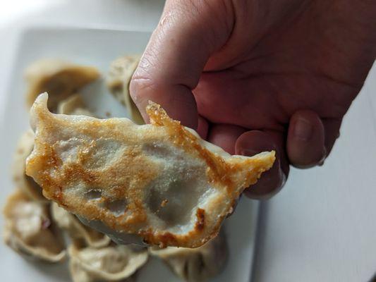 Pork, shrimp, and chives dumpling