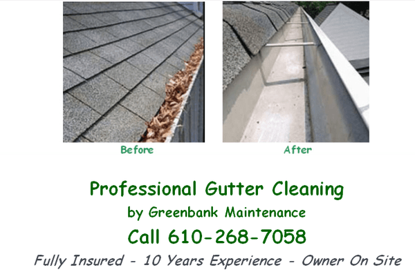 Professional Gutter Cleaning