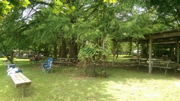 Lots of pretty trees and grass. A lot of benches and several covered areas and bbq pits