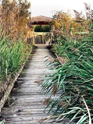 Pathway over the water