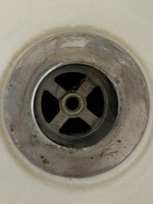 Hair in the drain