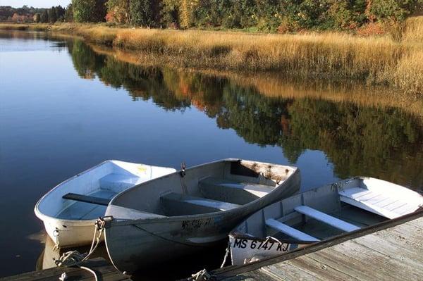 Cape Cod Real Estate